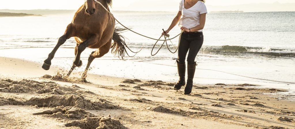 Pferd und Reiterin am Strand mit wunderschönen braunen Reitstiefeln