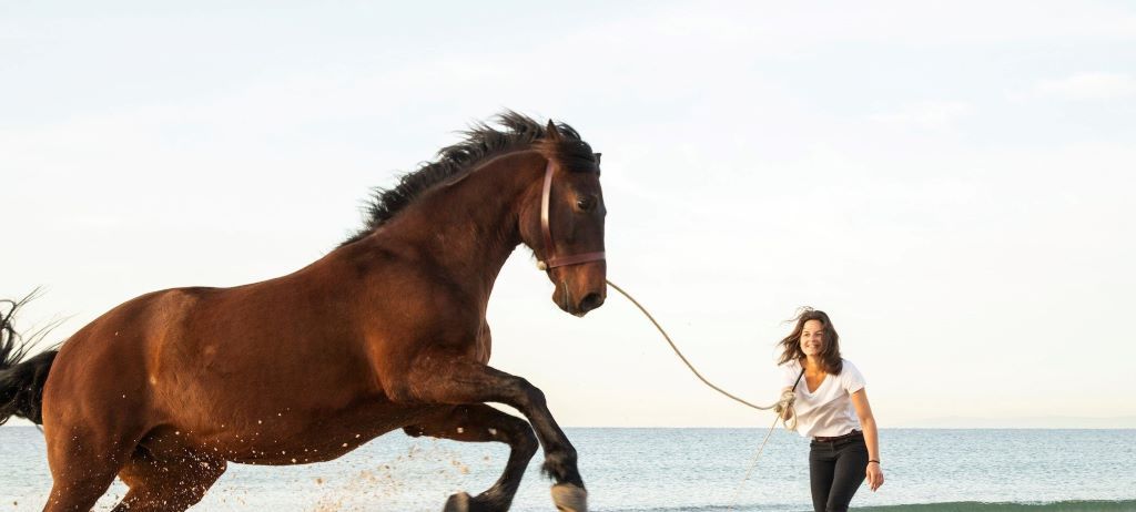 Longieren am Strand mit Lederhalfter und Hanfseil von EQUIMONTA