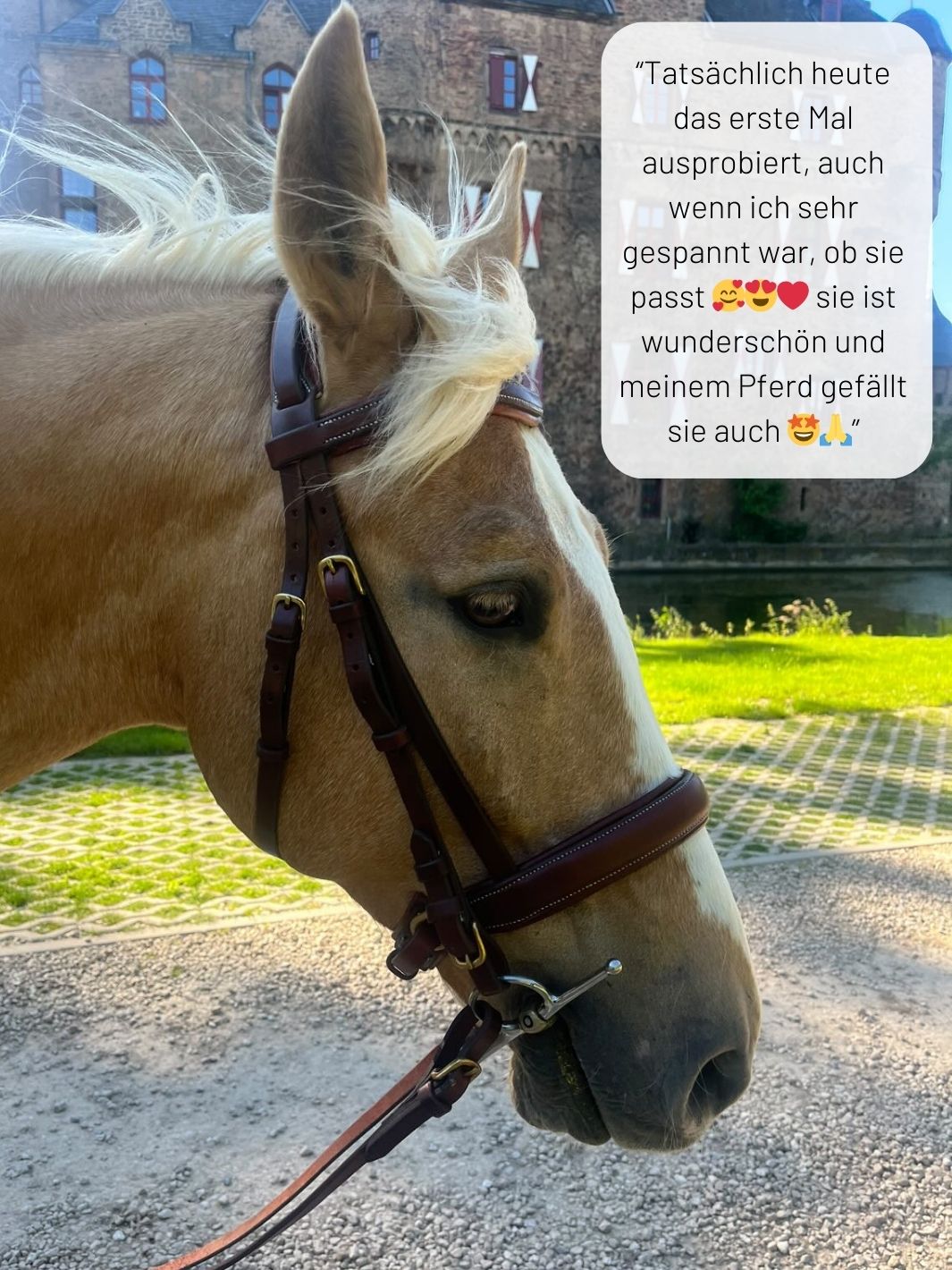 Klassischer Reitzaum - Mit Sattlernaht - Gr. COB/WB