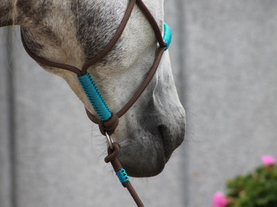 Knotenloses Halfter - Braun/blau-grün (wie türkis), Gr. PONY, MINI-SHETTY