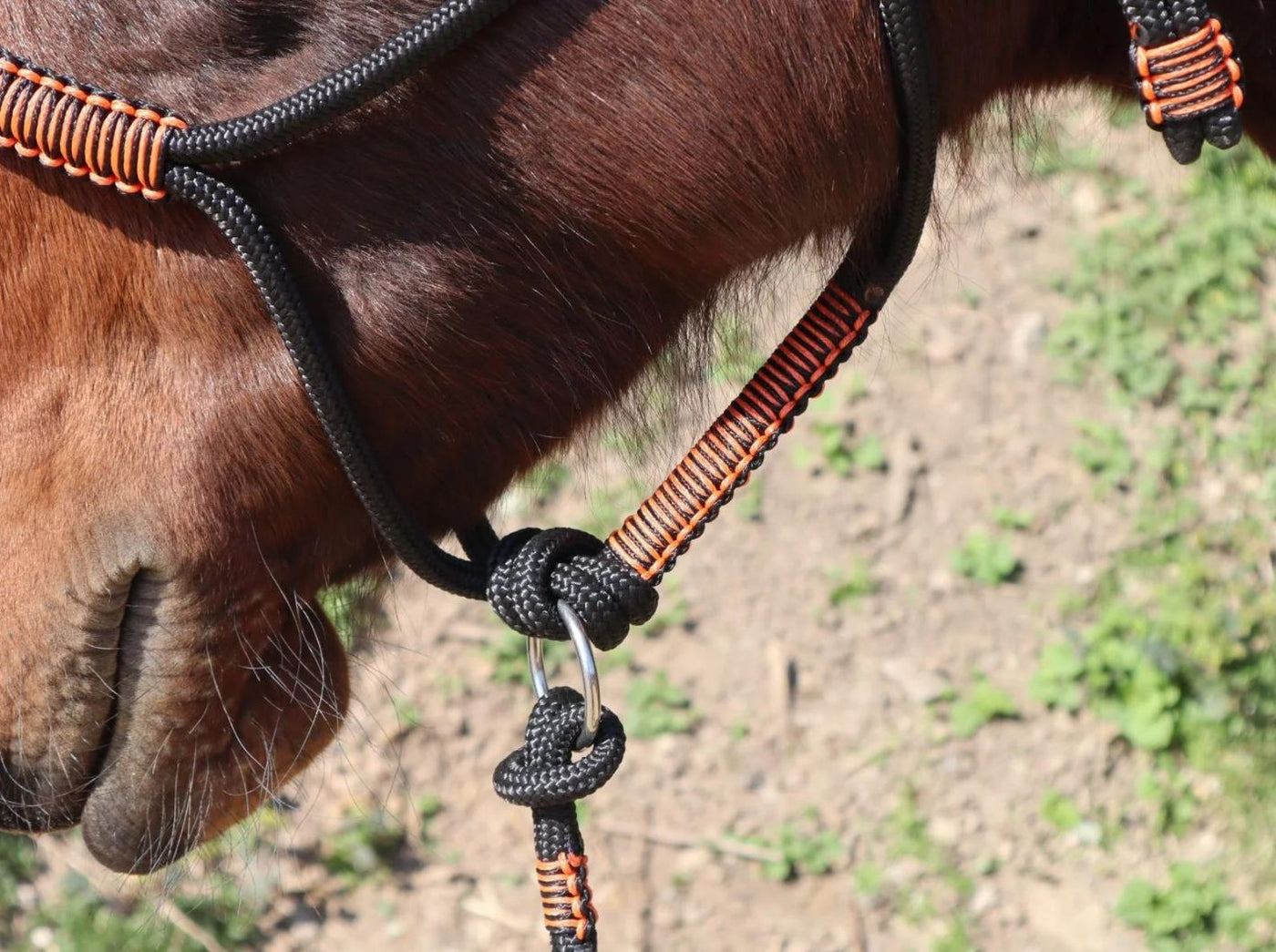 Knotenloses Halfter - schwarz/orange-schwarz, Gr. MINI-SHETTY