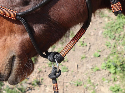 Knotenloses Halfter - schwarz/orange-schwarz, Gr. MINI-SHETTY